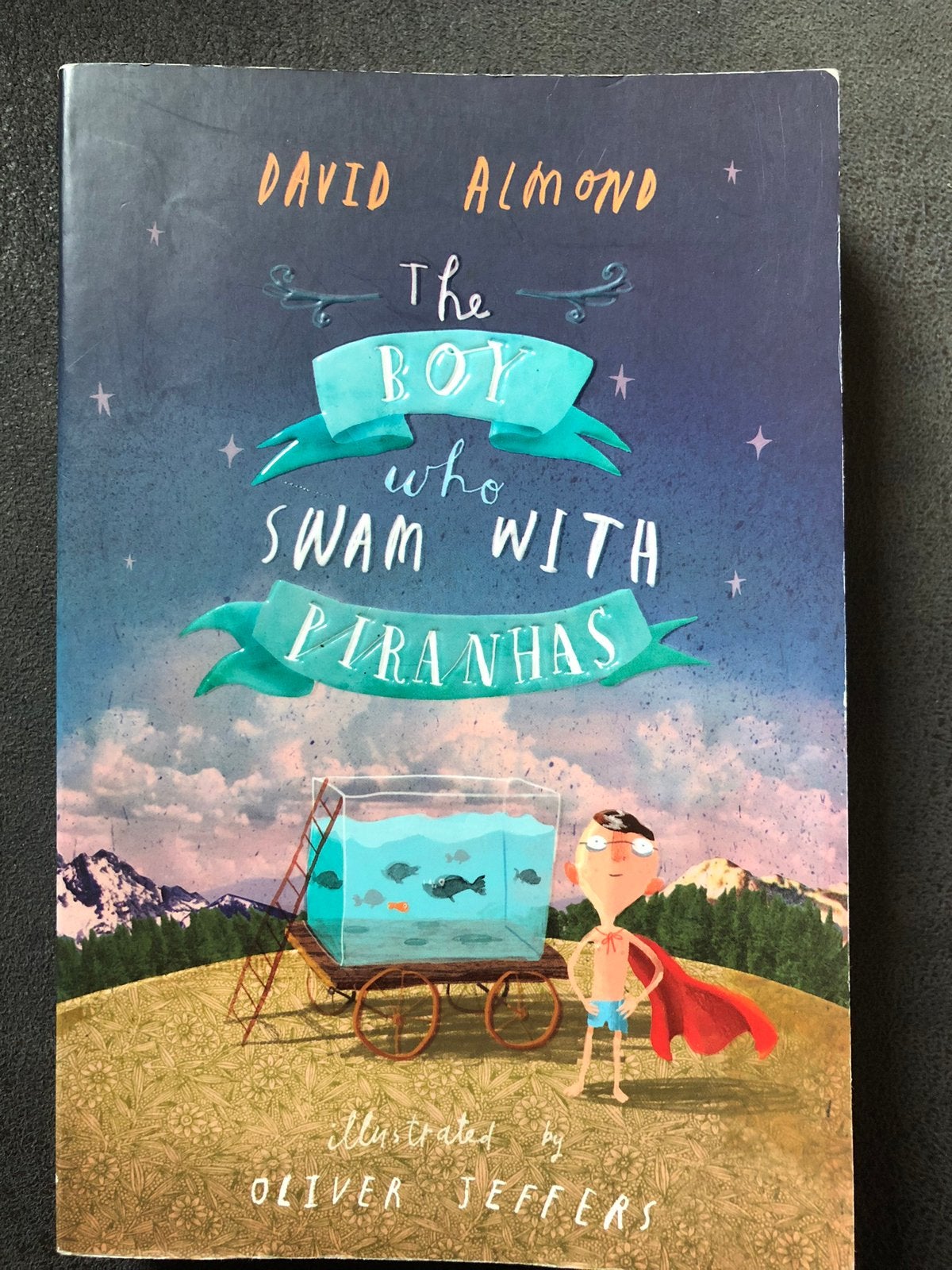 The Boy Who Swam with Piranhas - David Almond, Ophalen