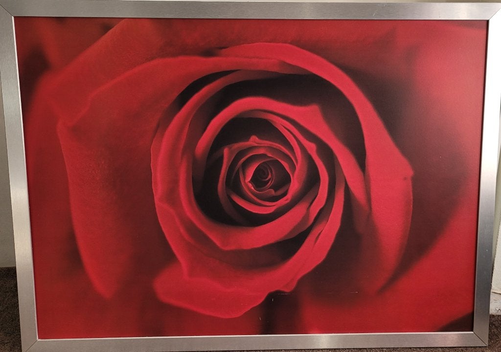 Schilderij roos, Huis en Inrichting, Woonaccessoires | Schilderijen, Tekeningen en Foto's, Ophalen, Gebruikt, 125 cm of meer, Schilderij