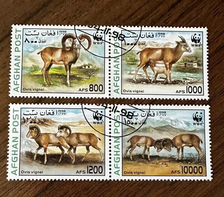 Afghanistan 1998 WWF - schapen dieren  (gestempeld), Ophalen of Verzenden, Gestempeld, Zuid-Azië