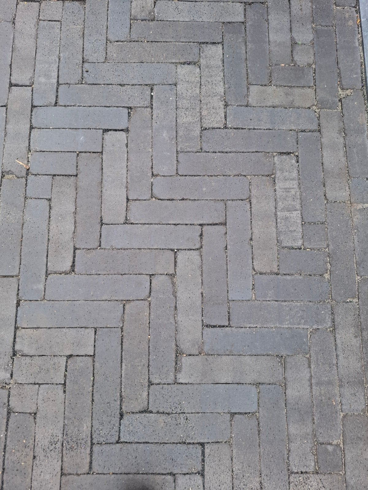 Nieuw gebakken waaltjes - ca. 4 m² Bella xg 103 wf 20,4 5x6, Ophalen, Nieuw, Minder dan 5 m², Overige typen