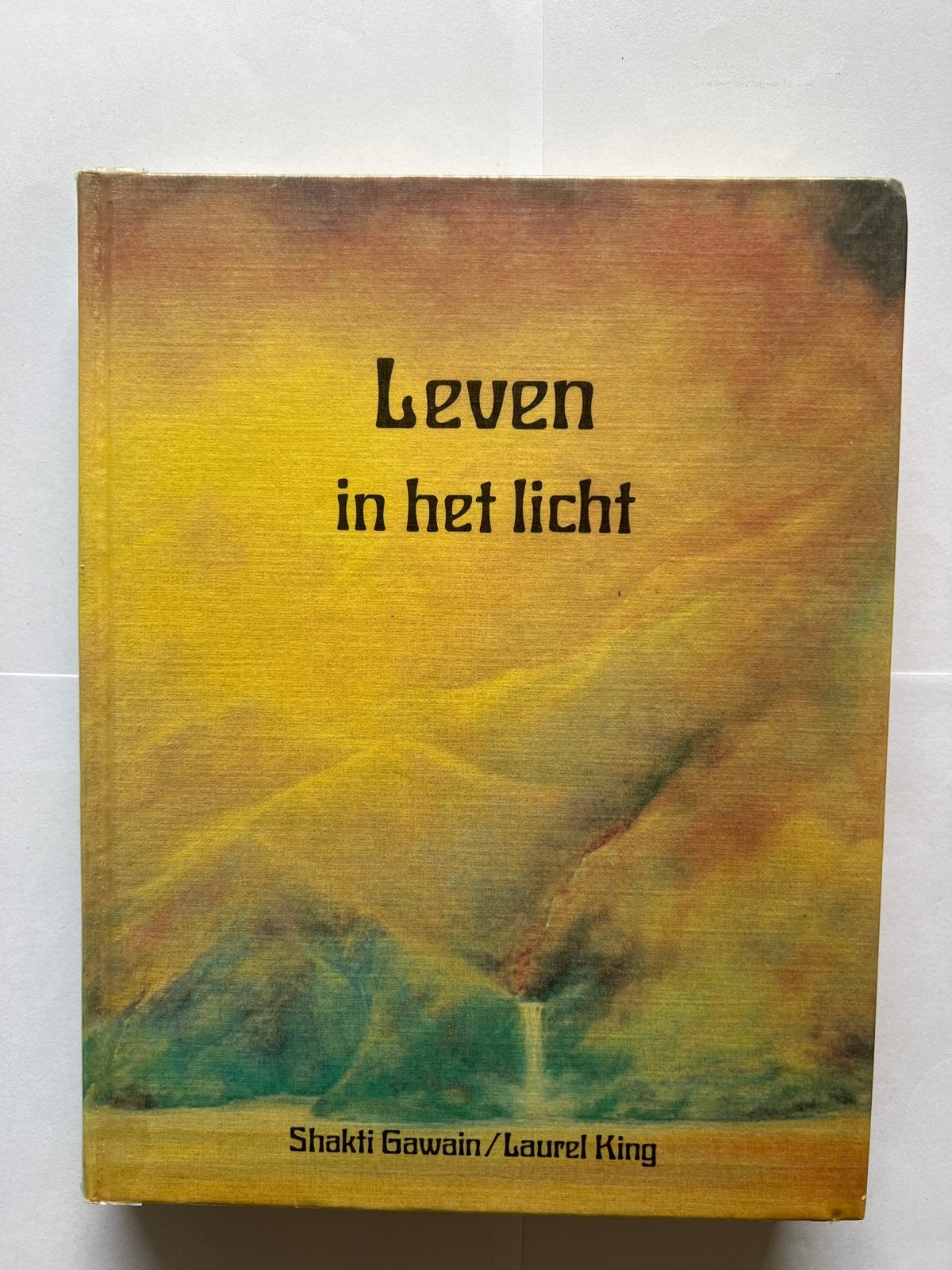 Leven in het Licht - Shakti Gawain / Laurel King, Boeken, Ophalen of Verzenden, Gelezen, Spiritualiteit algemeen, Instructieboek