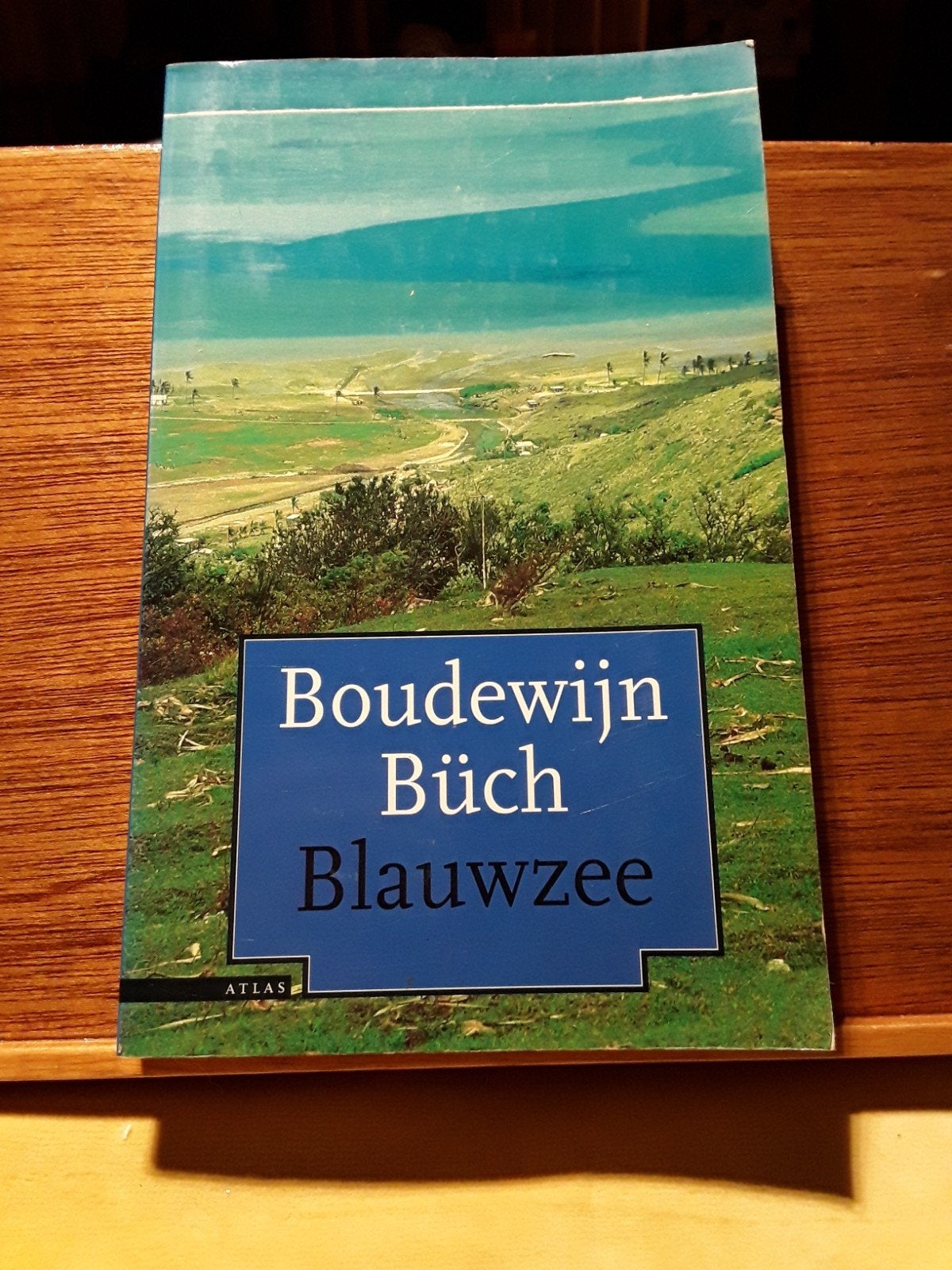 Boudewijn Büch - Blauwzee (Eilanden, vierde deel), Ophalen of Verzenden, Gelezen, Boudewijn Büch, Nederland