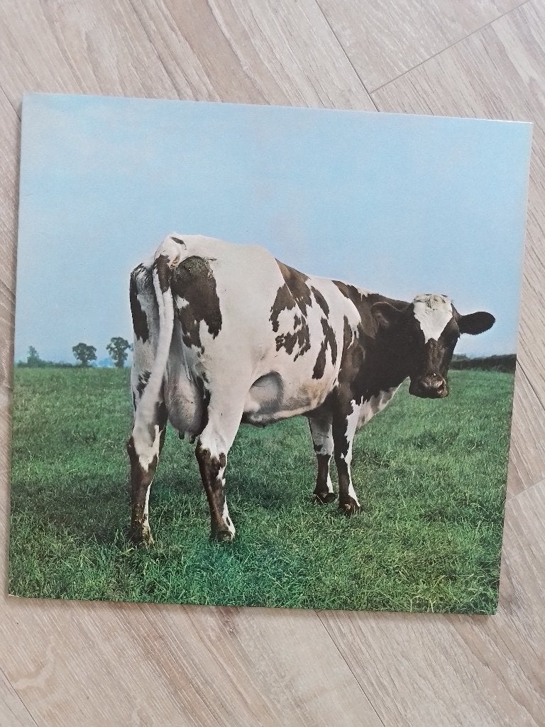 Pink Floyd/Rock, LP, Ophalen of Verzenden, 12 inch, Inclusief binnenhoes