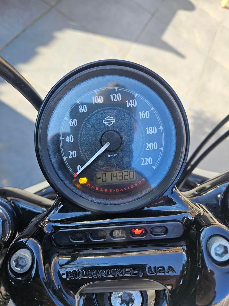 Harley Davidson forty eight, 2 cilinders, Chopper, Particulier, Meer dan 35 kW