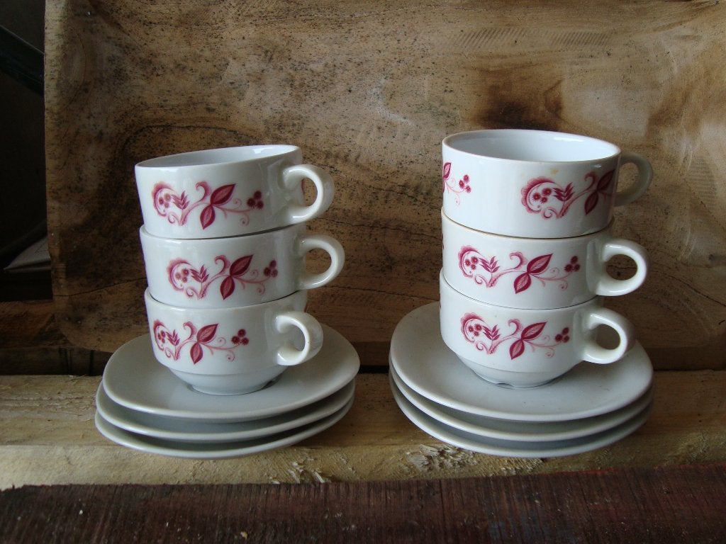 6 kop en schotels, Huis en Inrichting, Keuken | Servies, Nieuw, Ophalen of Verzenden, Overige stijlen, Kop(pen) en/of Schotel(s)