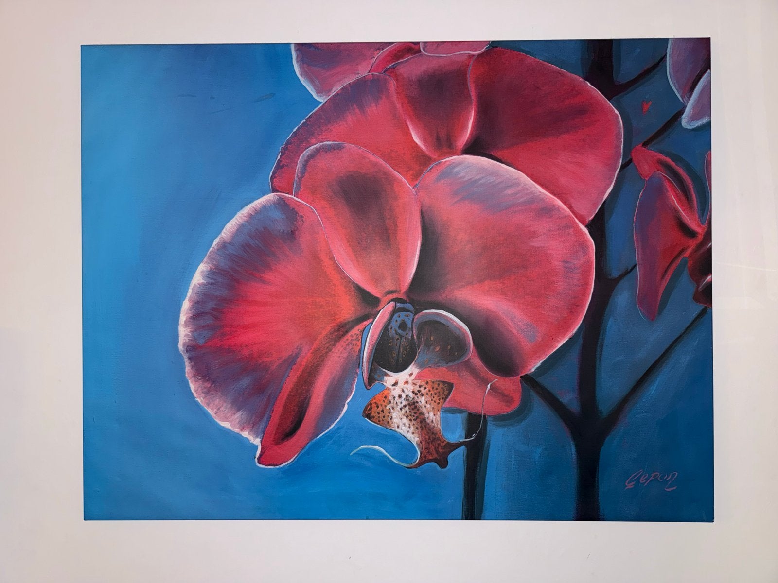 Schilderij: Rode Orchidee op Blauwe Achtergrond, Ophalen of Verzenden