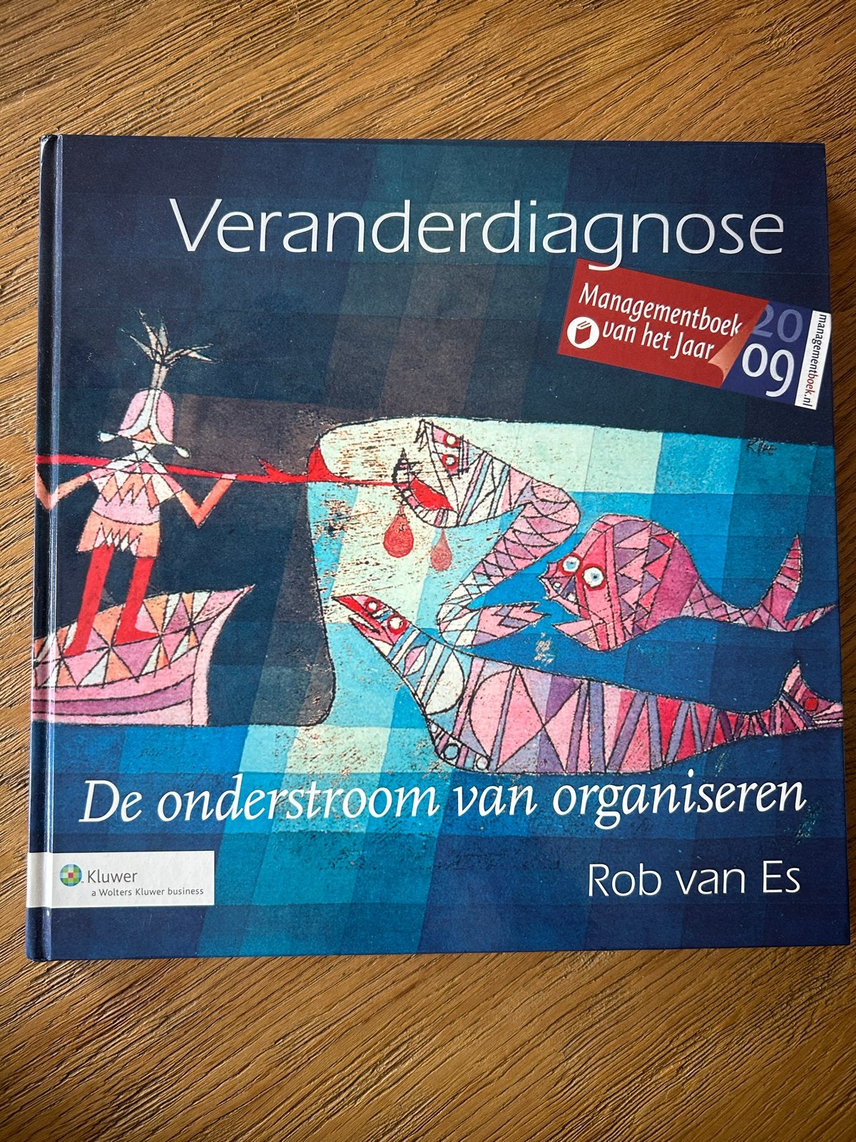 Veranderdiagnose: De onderstroom van organiseren - Rob van E, Boeken, Ophalen of Verzenden, Zo goed als nieuw