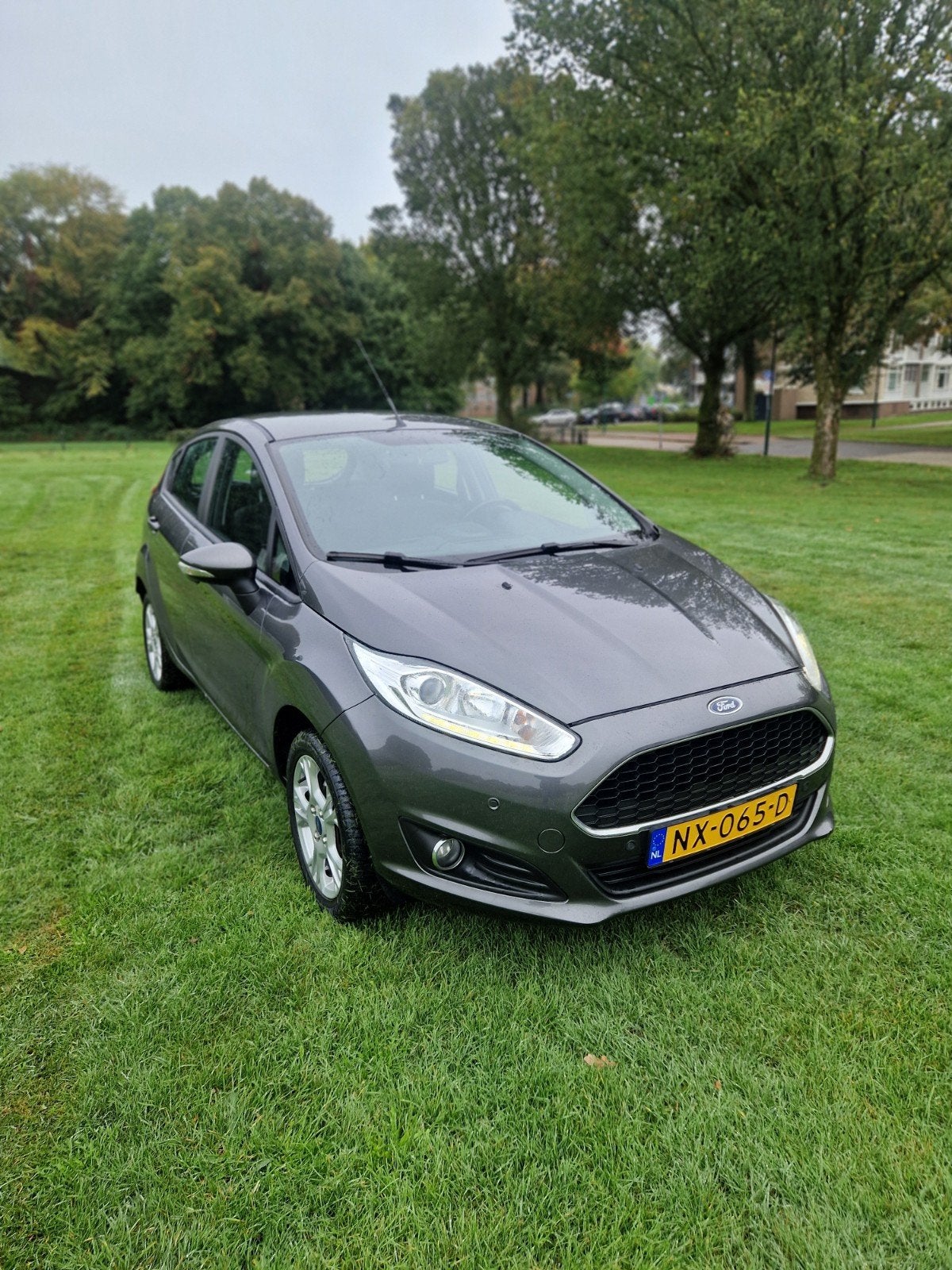 Ford Fiësta 1.0 59KW/80PK 5D 2017 Grijs met NAP, Voorwielaandrijving, Stof, 40 €/maand, Zwart