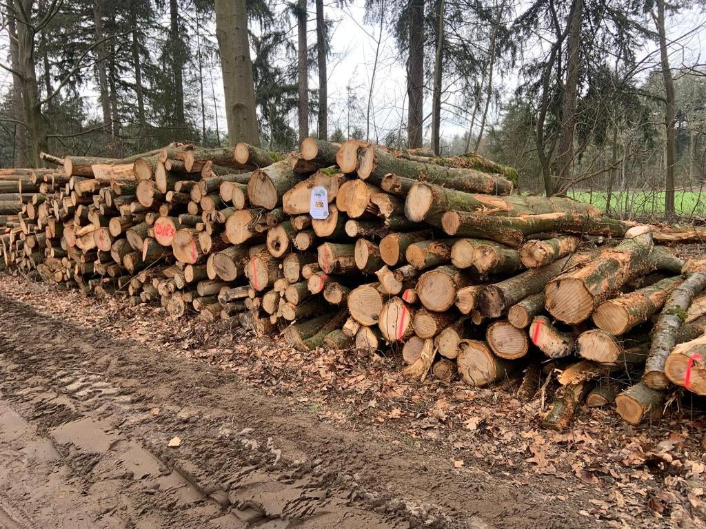Brandhout rondhout mix, 6 m³ of meer, Verzenden, Eikenhout, Stammen