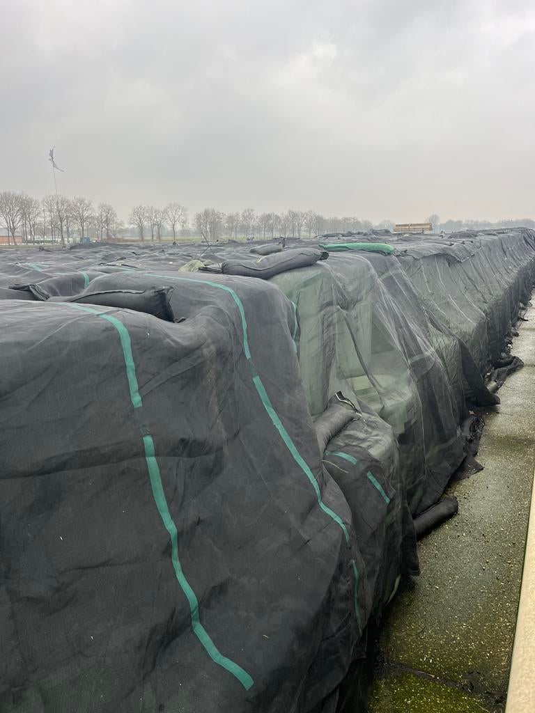 Maisbalen en maisbalen met gesneden bieten, Ophalen