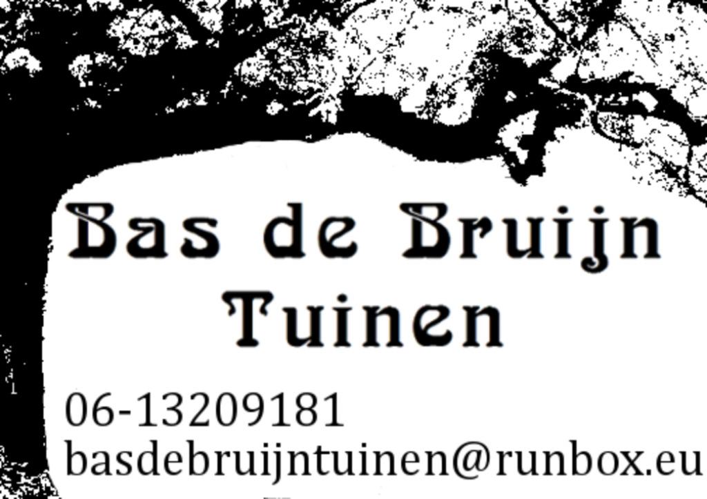 Tuinman aangeboden Zwolle en wijde omgeving, Diensten en Vakmensen, Tuinmannen en Stratenmakers, Tuinonderhoud of Snoeiwerk