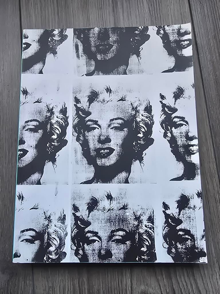 Andy Warhol - Biografie, Boeken, Kunst en Cultuur | Fotografie en Design, Gelezen, Overige onderwerpen, Ophalen of Verzenden