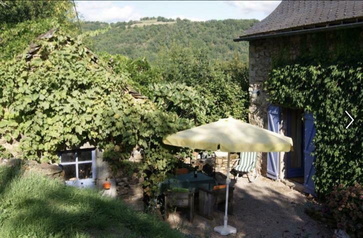 Vakantiehuis Zuid-Frankrijk met zwembad te huur!, Midi-Pyreneeën, Wasmachine, Landelijk, 3 slaapkamers