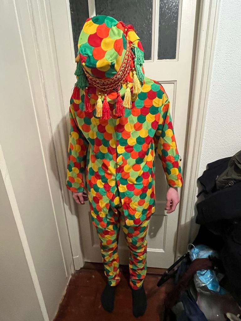 Zelfgemaakt Carnavalspak Maat M, Carnaval, Maat 48/50 (M), Ophalen of Verzenden, Zo goed als nieuw