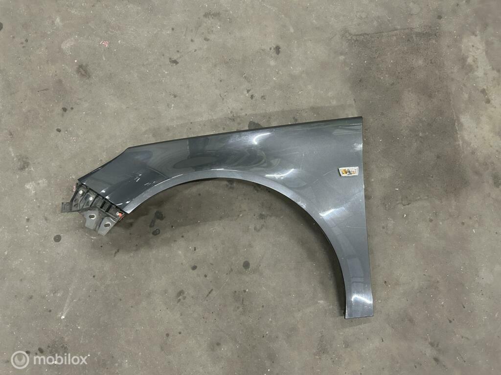 Voorscherm links Opel Insignia A ('08-'17), Gebruikt, Opel, Ophalen of Verzenden, Opel
