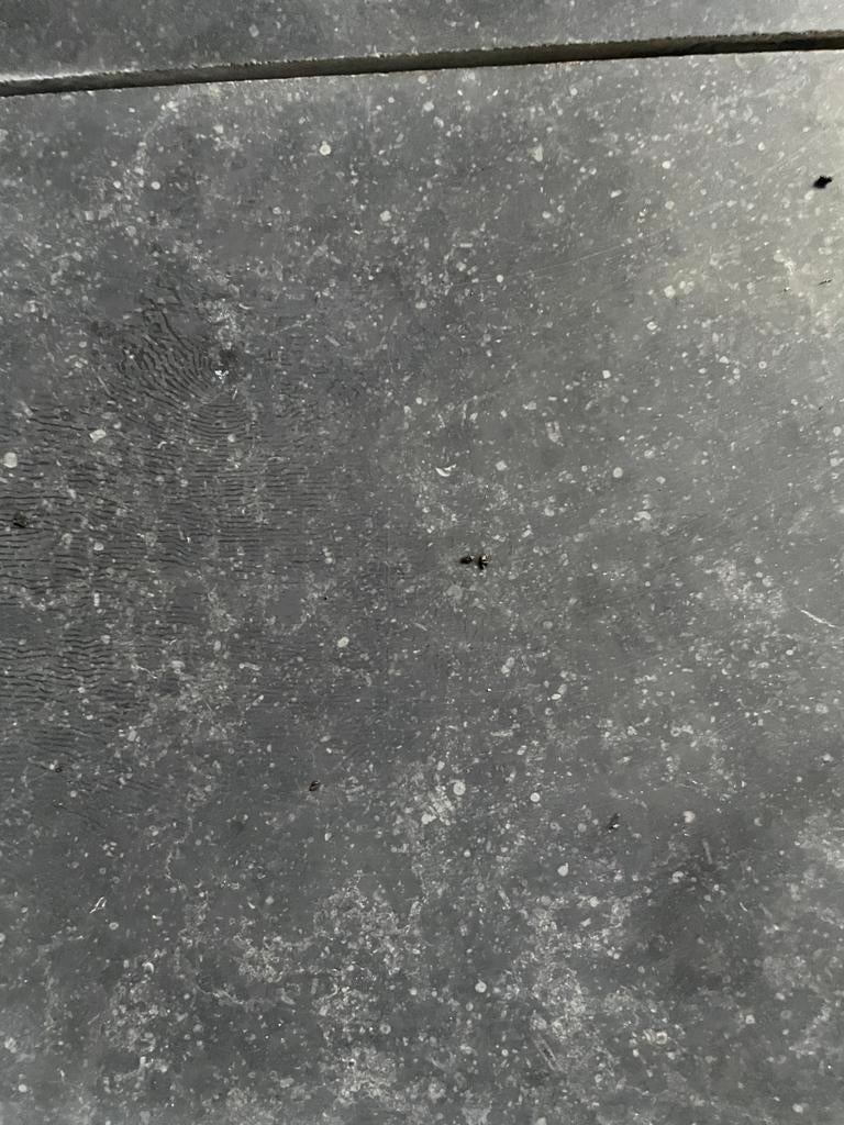 Belgisch Blauwsteen gezoet, Hardsteen, Nieuw, Ophalen of Verzenden, 20 tot 40 cm