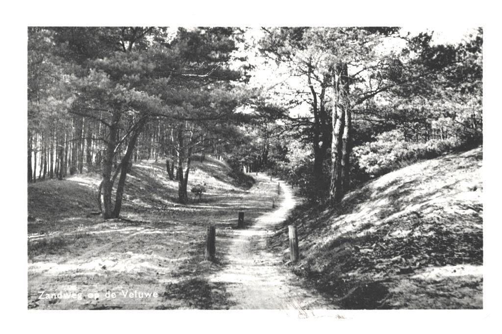 947010 Veluwe Zandweg uitg Rabbit Hill Nieuw Milligen 1959