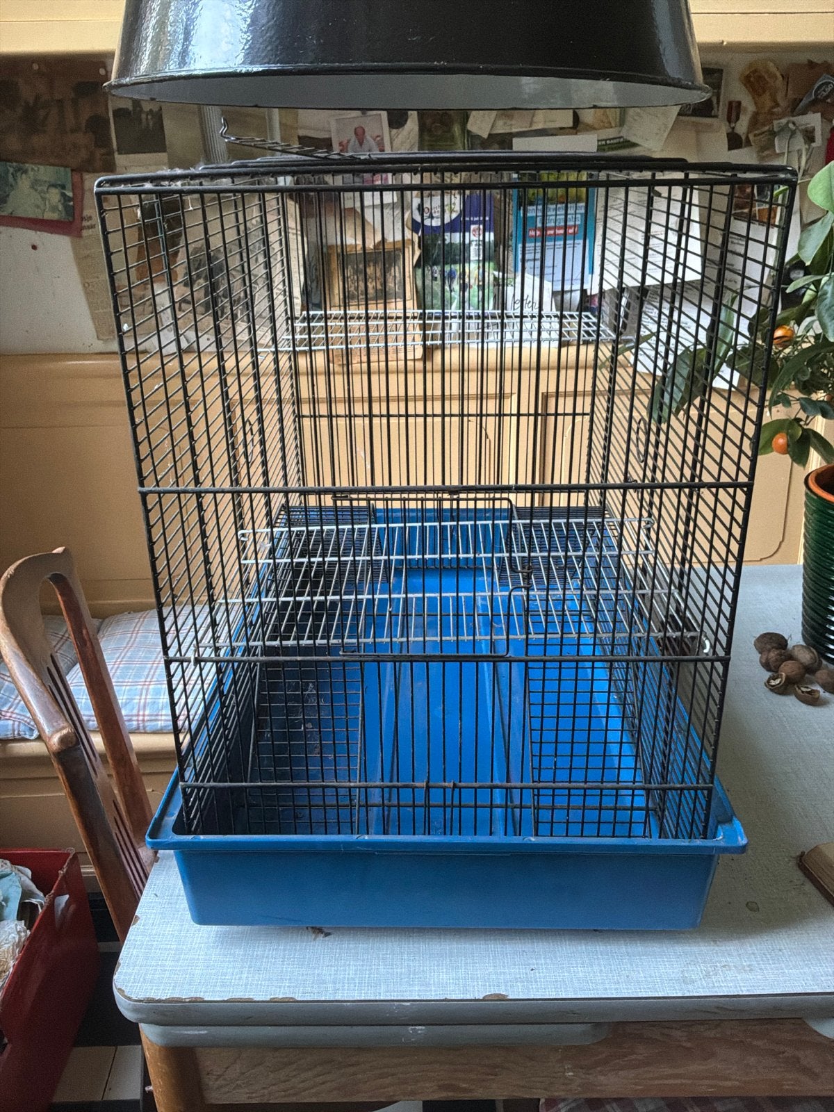 Hamsterkooi, Dieren en Toebehoren, Ophalen of Verzenden, Gebruikt, Kunststof, Overige typen