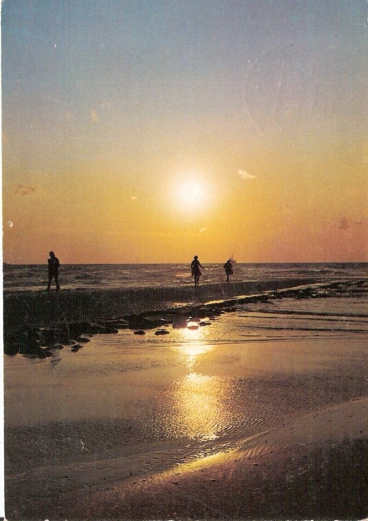 Egmond aan Zee   266, Ophalen of Verzenden, Voor 1920, Noord-Holland