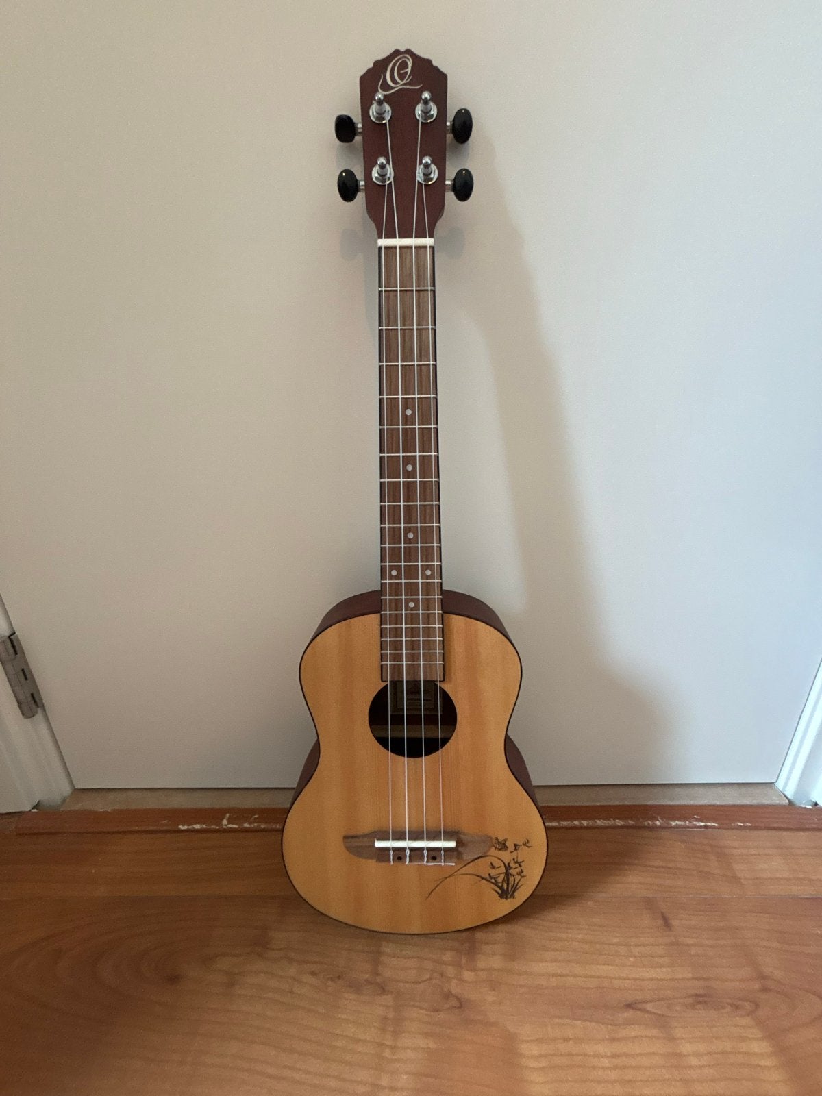 Ukelele with Fender bag, Muziek en Instrumenten, Ophalen, Zo goed als nieuw, Ukelele
