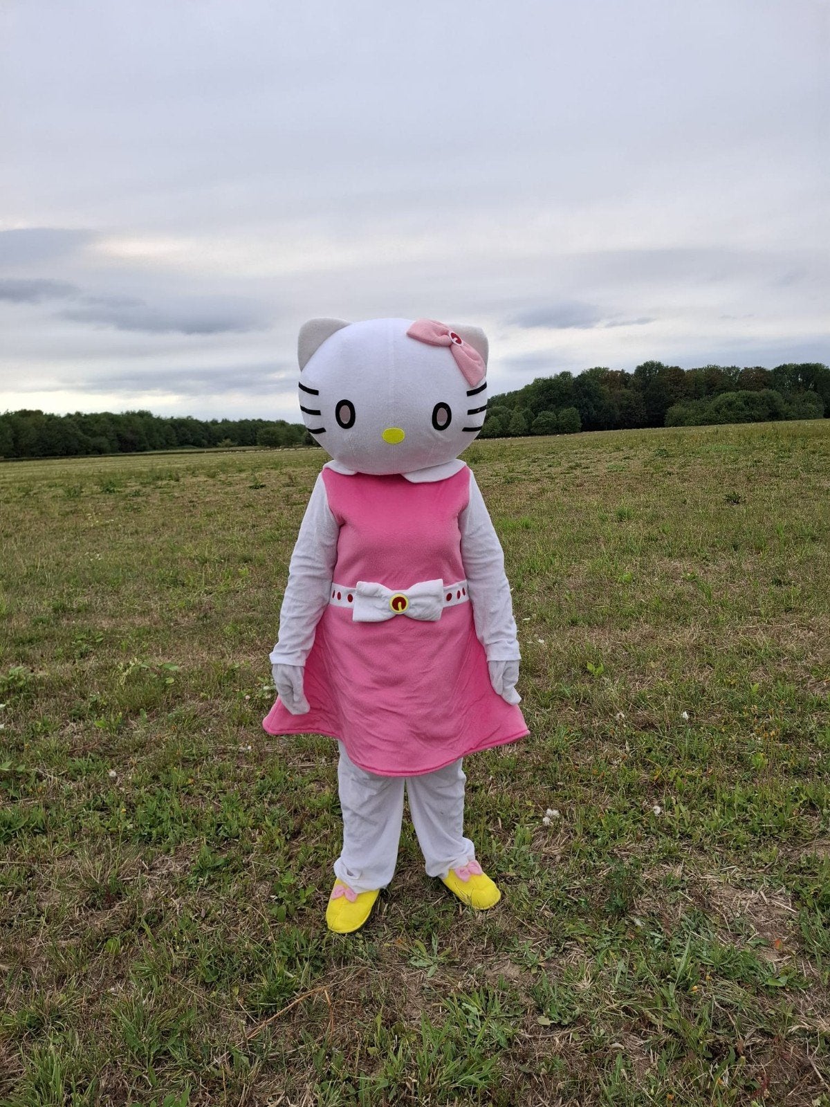 hello kitty mascotte te huur met en zonder acteur, Ophalen of Verzenden