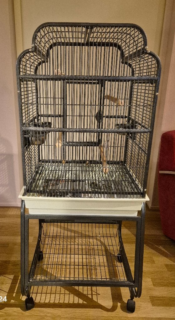 Papegaaienkooi, Dieren en Toebehoren, Ophalen, Gebruikt, Metaal, Vogelkooi