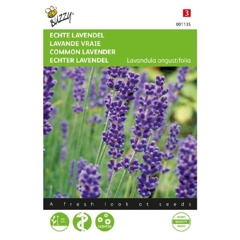 Buzzy Seeds Echte Lavendel kruidenzaden - nieuw, Ophalen of Verzenden, Voorjaar, Volle zon, Zaad
