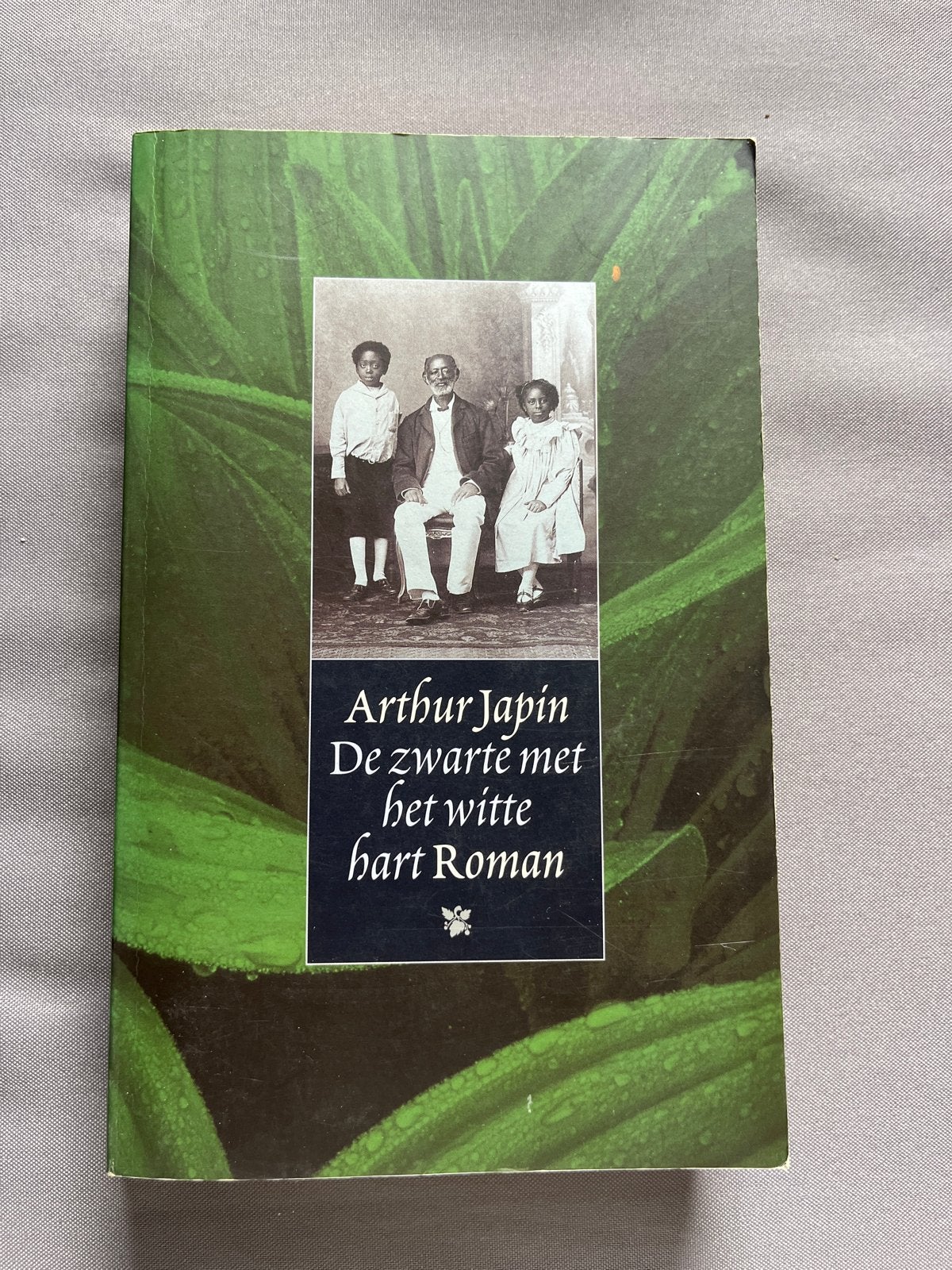 De zwarte met het witte hart - Arthur Japin (Roman), Boeken, Romans, Ophalen of Verzenden, Gelezen, Nederland