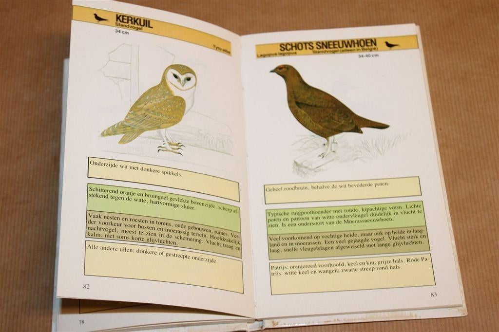 De Vogelgids — Herken Vogels in Tuin en Veld, Ophalen of Verzenden, Gelezen, Vogels