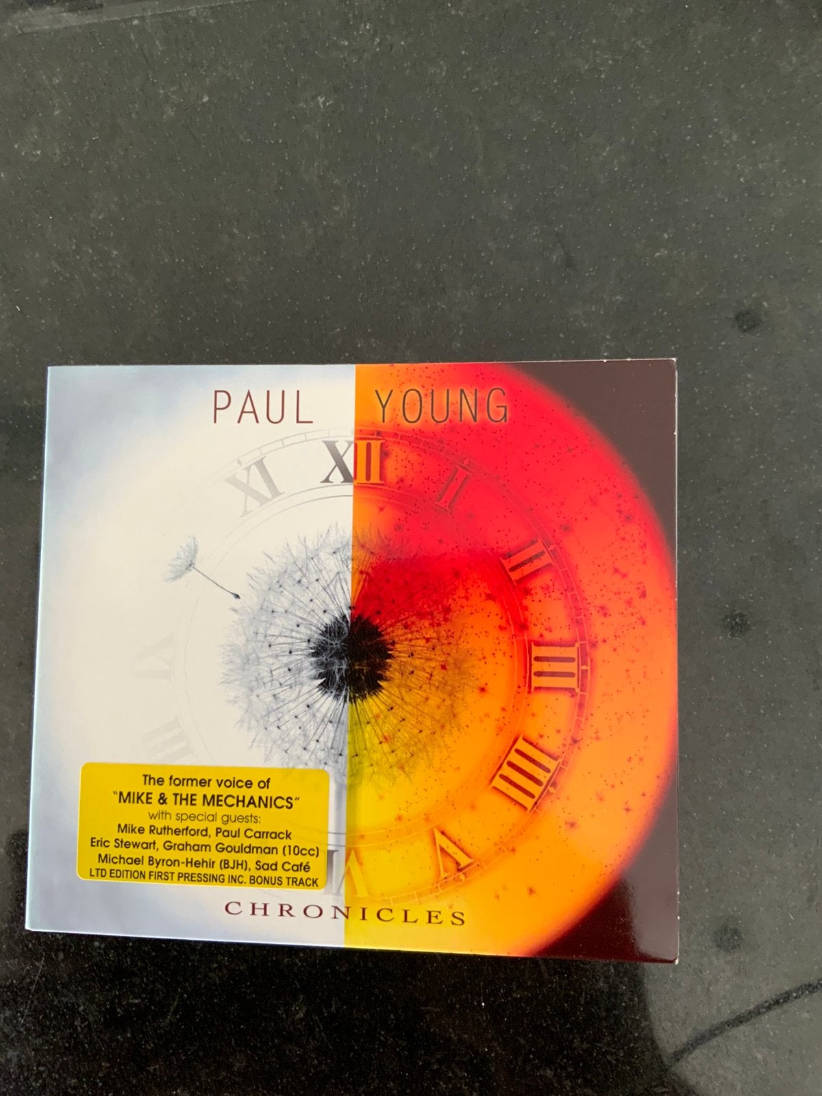 Paul Young, Chronicles, Ophalen of Verzenden, Zo goed als nieuw