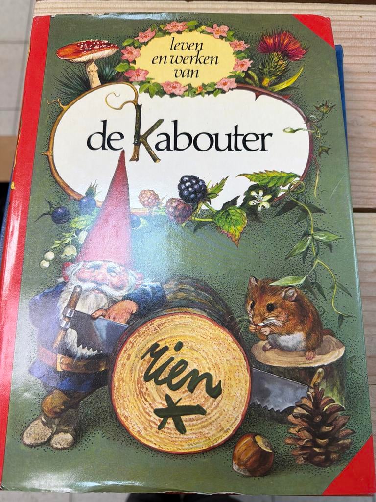 Leven en werken van de Kabouter, Ophalen of Verzenden, Gelezen, Fictie algemeen
