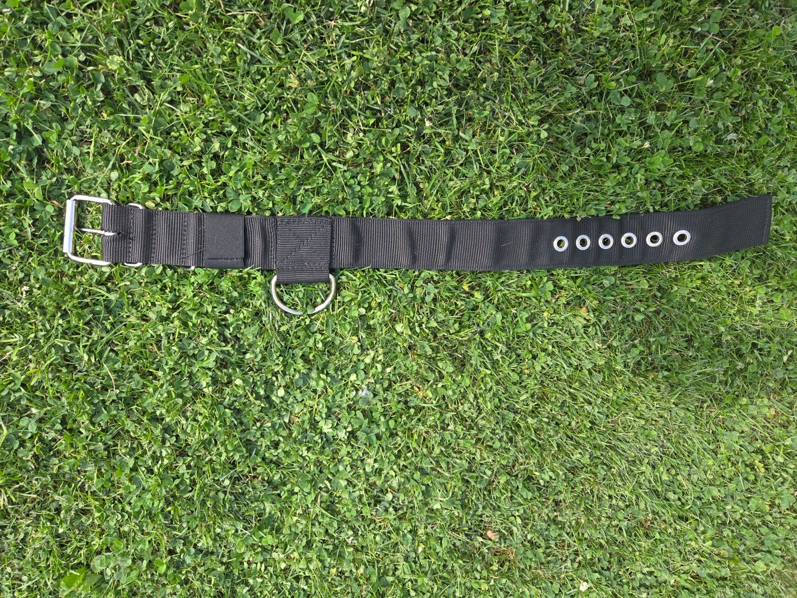 Extreme Doggear halsband, Dieren en Toebehoren, Ophalen of Verzenden, Nieuw