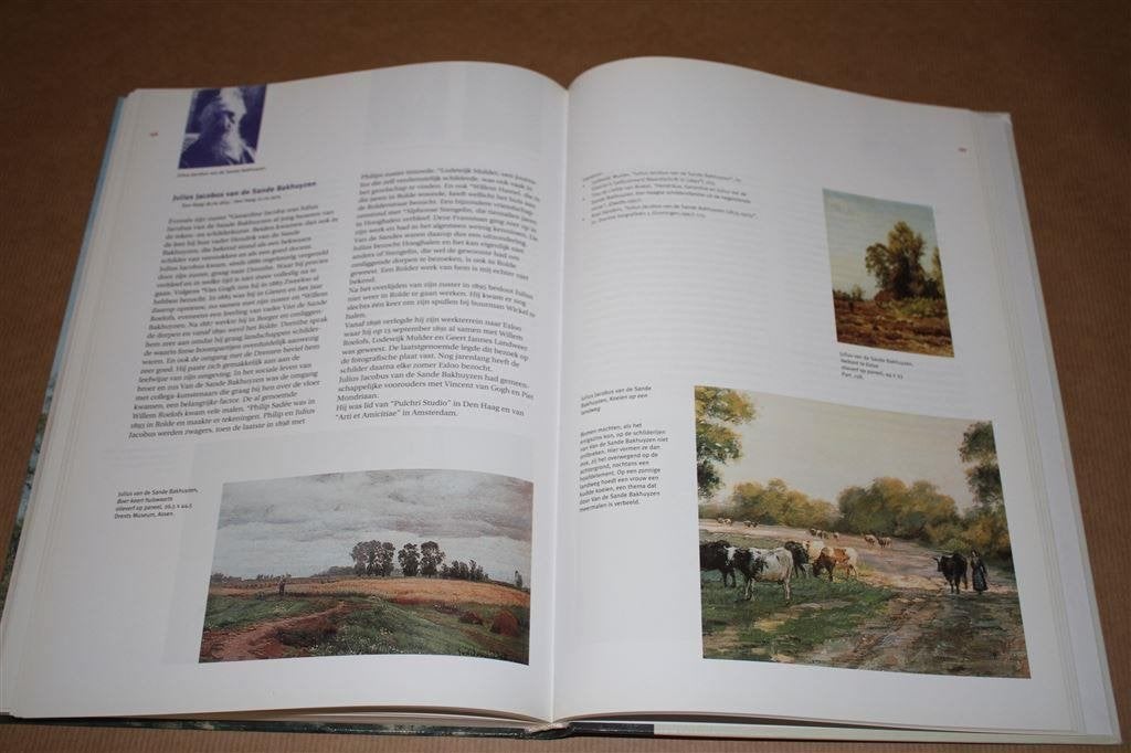 Schilders van Drenthe. Roel Sanders., Boeken, Ophalen of Verzenden, Zo goed als nieuw