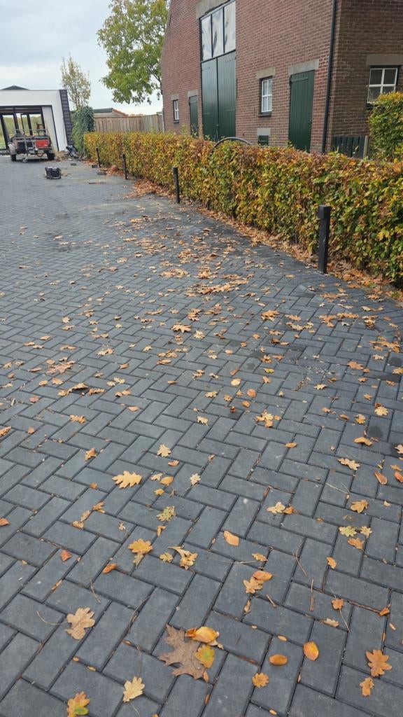 Straatmaker biedt zich aan, Ophalen of Verzenden, Nieuw, Beton, Terrastegels