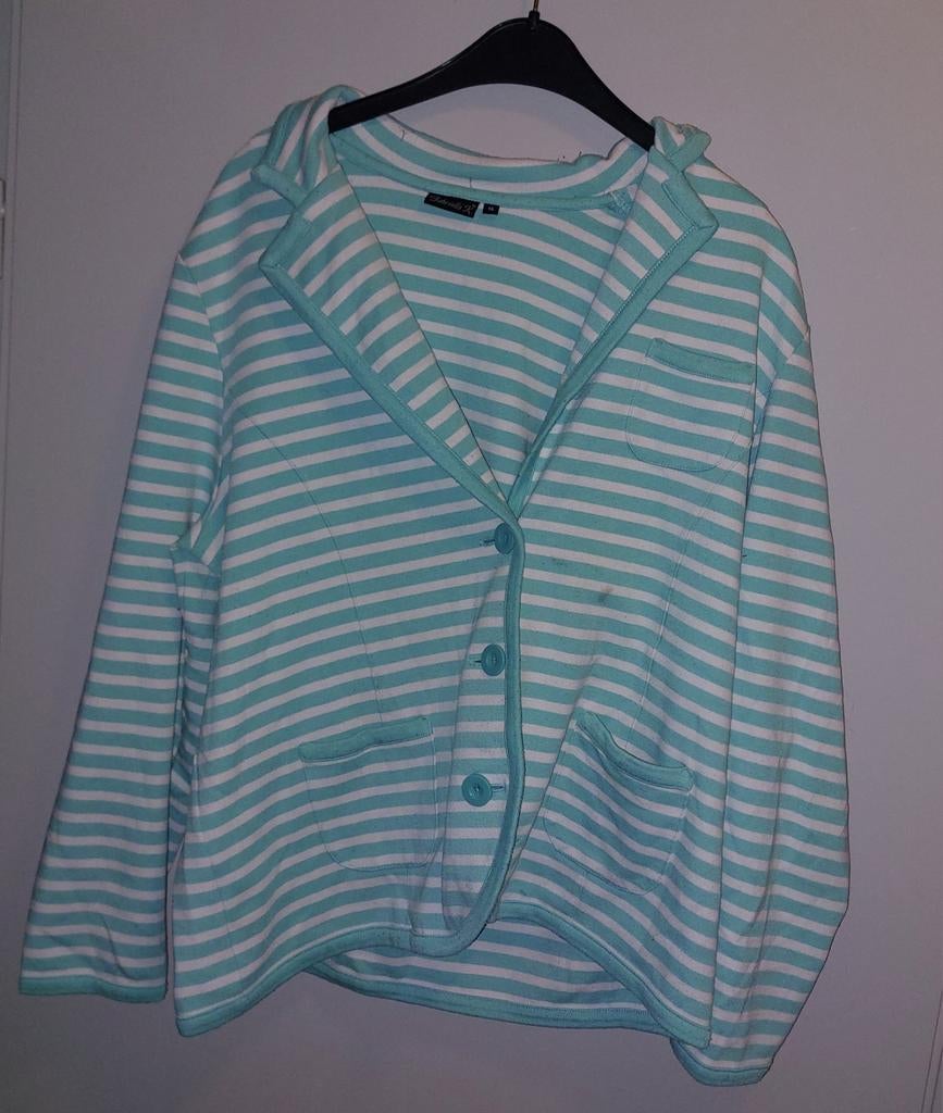 Gabriella K. gestreept jasje maat 46, Kleding | Dames, Ophalen of Verzenden