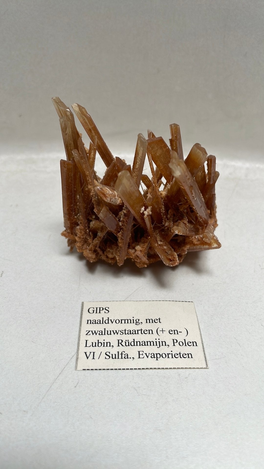 Gips Mineraal - Naaldvormig met Zwaluwstaarten, Verzamelen, Mineralen en Fossielen, Ophalen of Verzenden, Mineraal