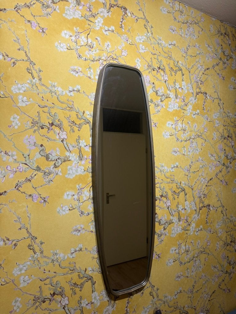 Mirror, Ophalen, Minder dan 50 cm, Zo goed als nieuw, Minder dan 100 cm