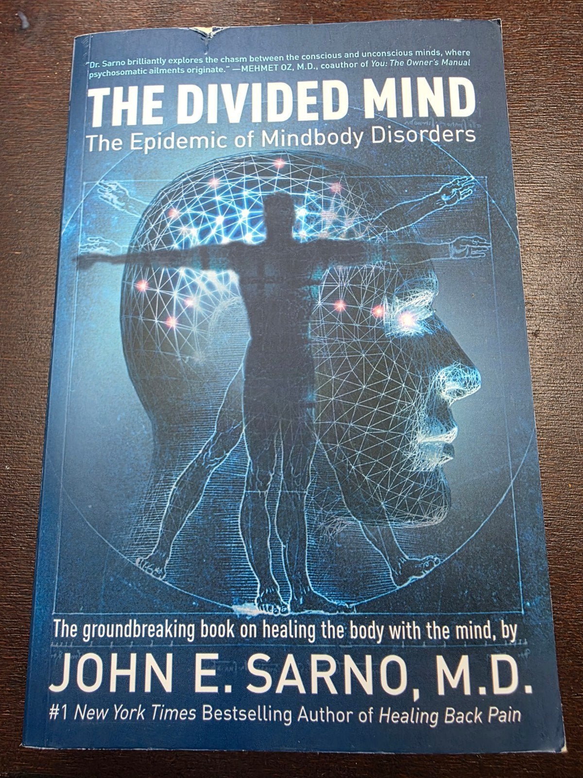 The divided mind - John E. Sarno M.D. - The epidemic of mind, Boeken, Advies, Hulp en Training, Zo goed als nieuw, Ophalen of Verzenden