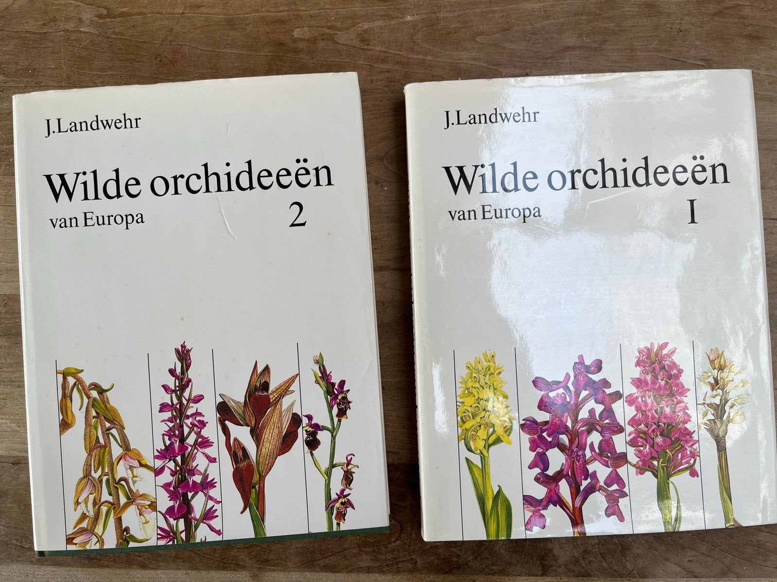 Wilde orchideeën van Europa - J. Landwehr (deel 1 & 2), Boeken, Ophalen of Verzenden, Zo goed als nieuw, Bloemen, Planten en Bomen