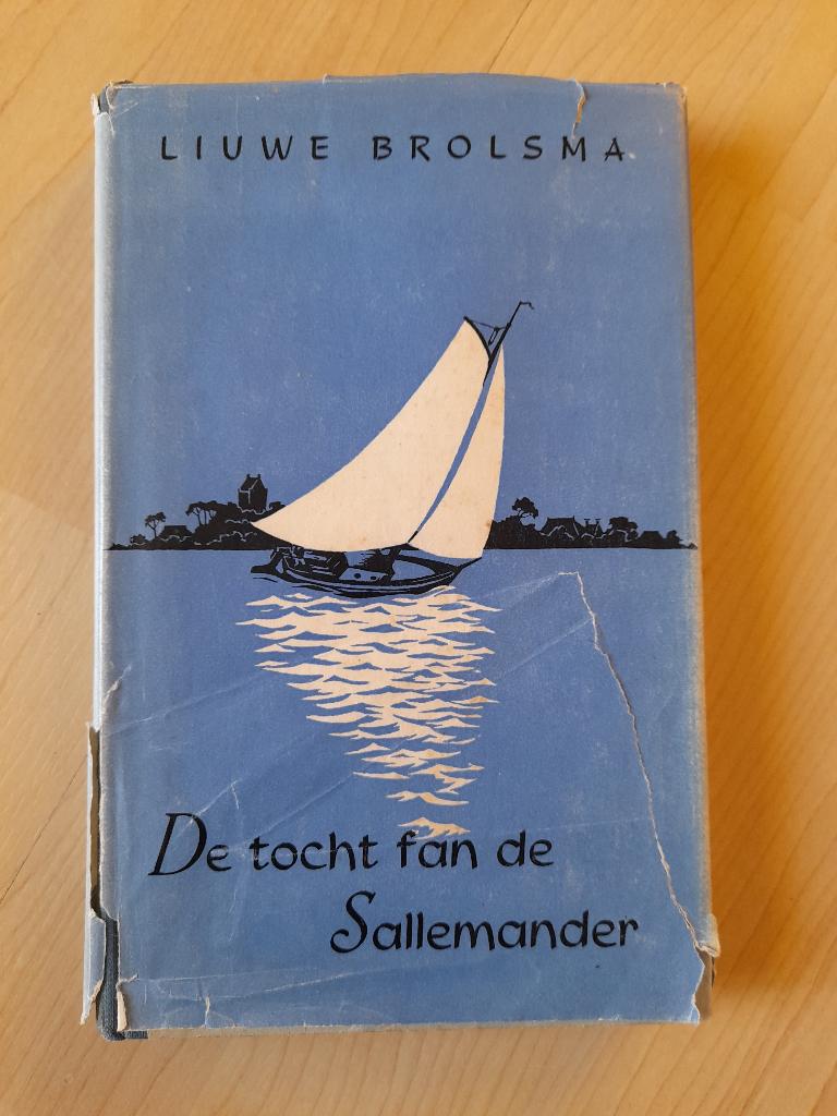 DE TOCHT FAN E SALLEMANDER   Liuwe Brolsma friestalig, Boeken, Ophalen of Verzenden, Gelezen, Nederland