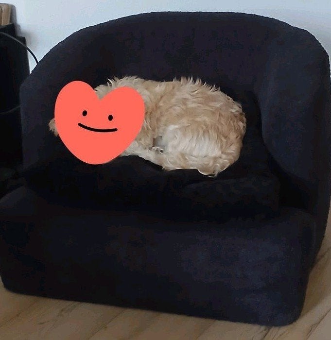 honden fauteuil, Dieren en Toebehoren, Ophalen, Gebruikt, Stof