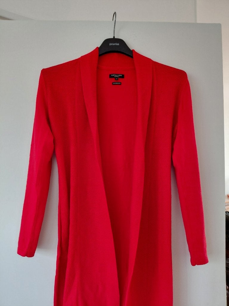 Mooi rood vest van Cavallaro Napoli met Kashmere blend, Ophalen of Verzenden, Zo goed als nieuw, Maat 34 (XS) of kleiner, Rood
