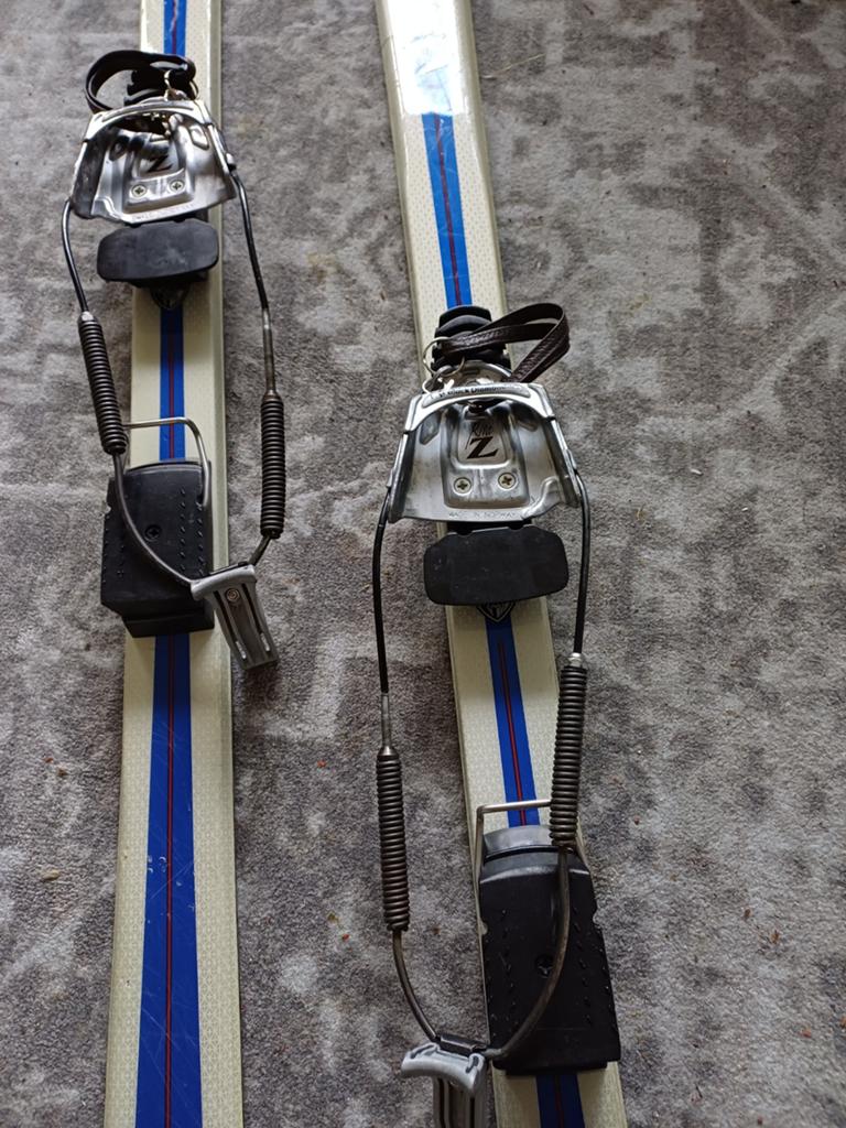 Telemark Ski's, 160 tot 180 cm, Gebruikt, Carve, Skiën