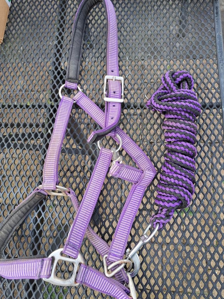 paarden halster + touw, Ophalen of Verzenden, Gebruikt, Recreatie