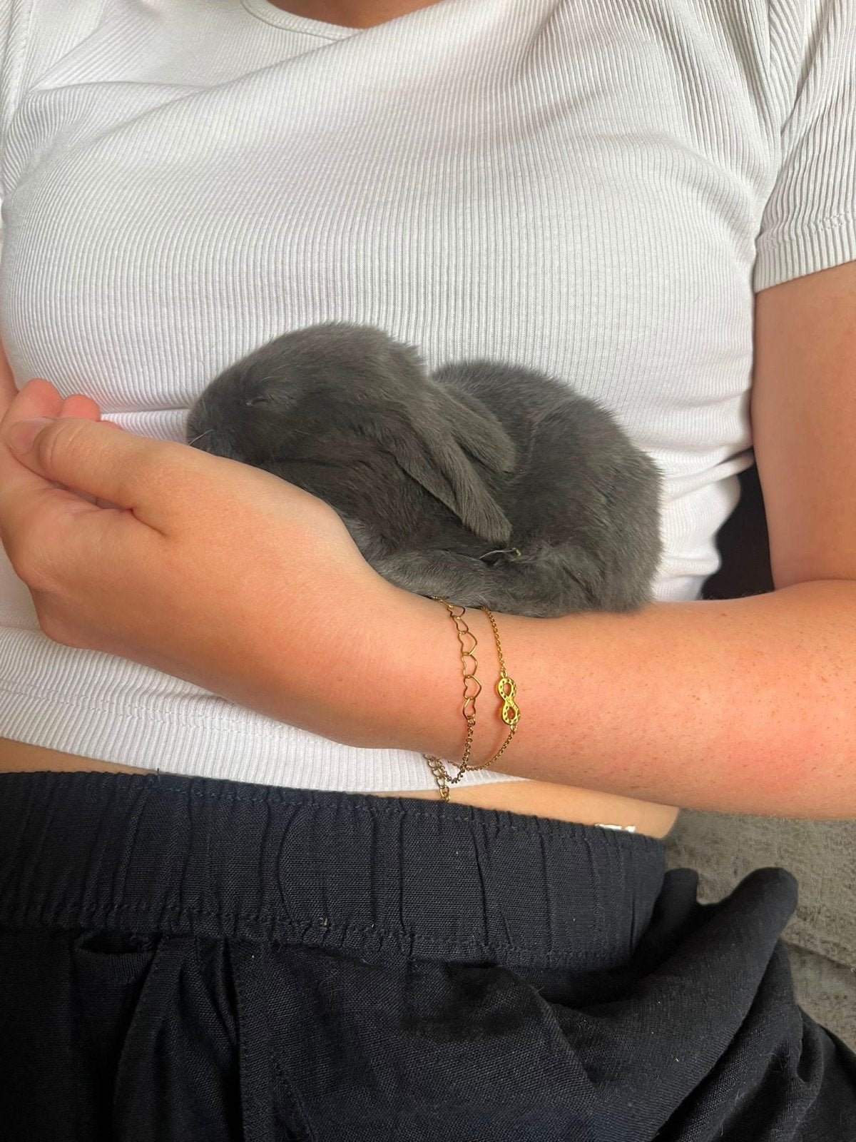 Baby Duitse Reuzen, Dieren en Toebehoren, Meerdere dieren