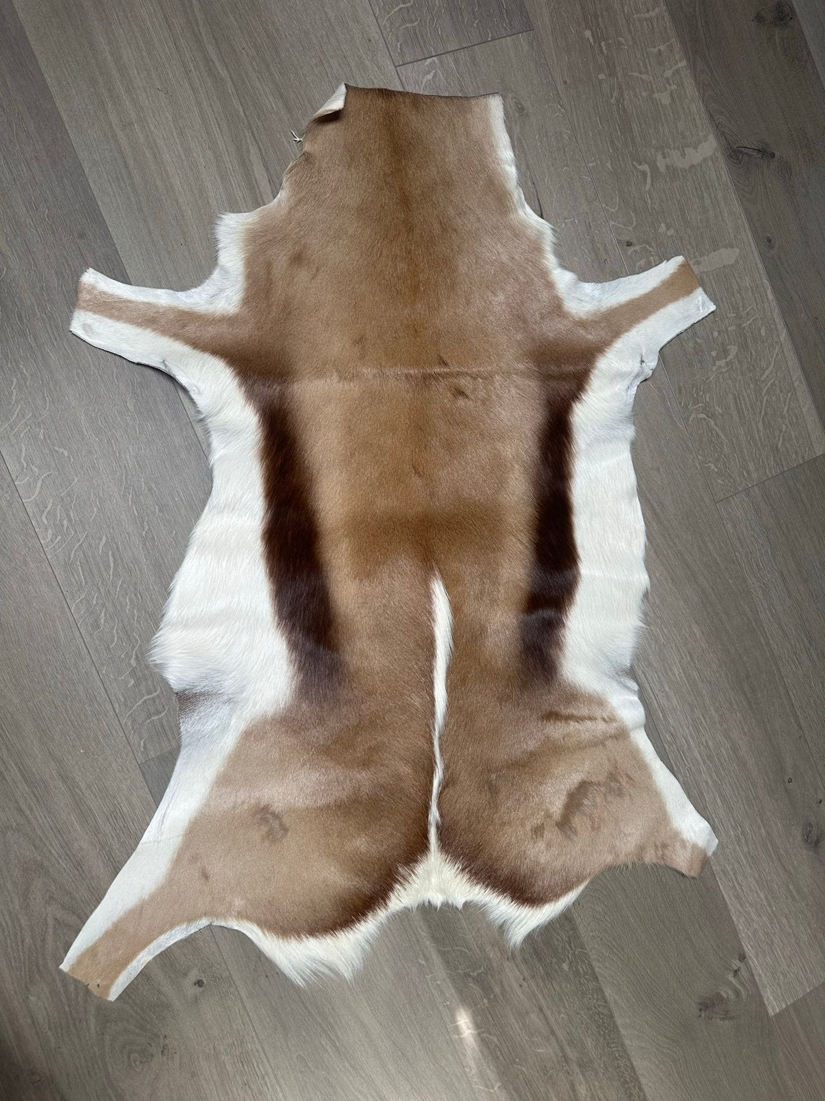Prachtige Springbok Huid - Decoratief Vachtkleed, Huis en Inrichting, Meerkleurig, Ophalen of Verzenden, Natuurlijk materiaal