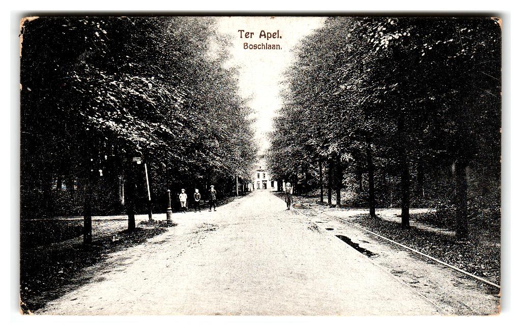 Ter Apel, Boschlaan, Verzamelen, Ansichtkaarten | Nederland, Ongelopen, Groningen, 1920 tot 1940, Verzenden