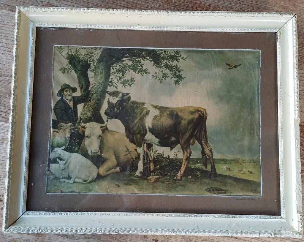 Stier van Potter prent, Ophalen