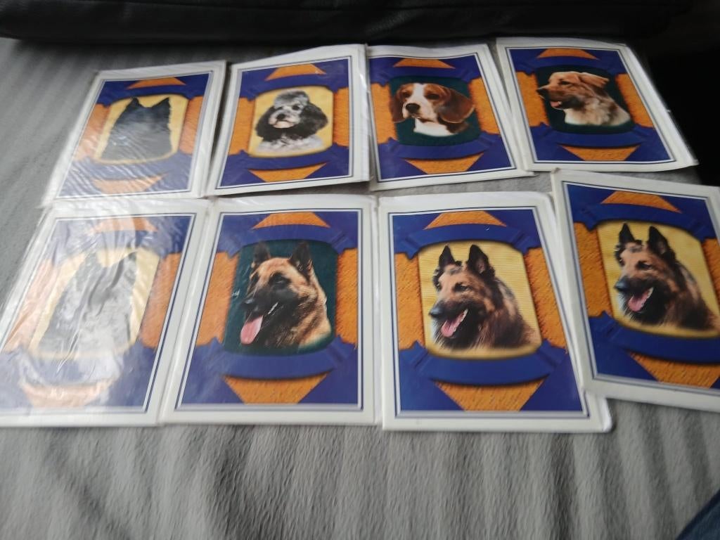 te koop postkaart van diverse Hondenrassen, Ophalen of Verzenden, Nieuw, Meerdere kaarten