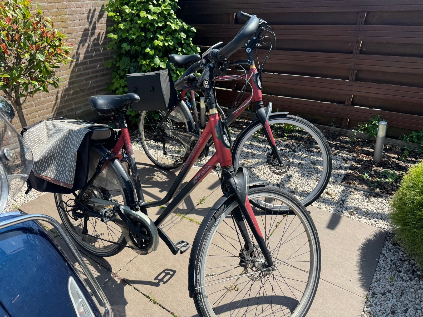 Setje Sparta Elektrische Fietsen, Ophalen, Sparta, Gebruikt, 59 cm of meer